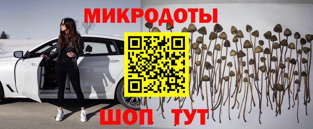 Галлюциногенные грибы Magic Shrooms  Псилоцибиновые грибы Cubensis  Вход с VPN  Дюртюли 